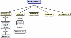 Ejemplos de adjetivos numerales, partitivos