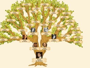 Ejemplo de árbol genealógico, clasificación