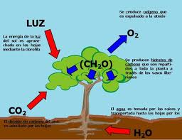 Ejemplos de energía química,  fenómenos químicos