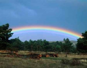 Colores del arco iris:  por qué se forma