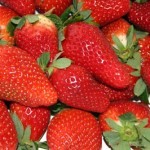 Frutas de primavera de marzo (fresas)