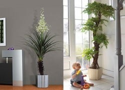 Humidificador casero con ideas fáciles con plantas para interiores