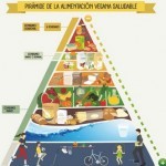 Dieta vegana Y los cuidados