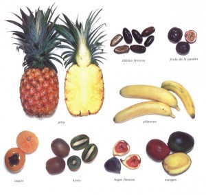 Frutas tropicales:  cuáles son