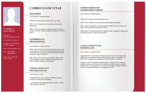 Currículum académico