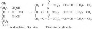Fórmula general de los lípidos 