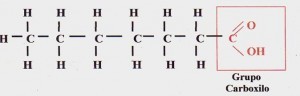 Fórmula general de los lípidos