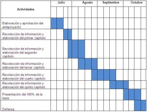 Modelo de cronograma de actividades 