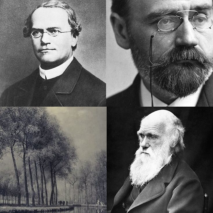Las 15 Características Más Importantes del Naturalismo
