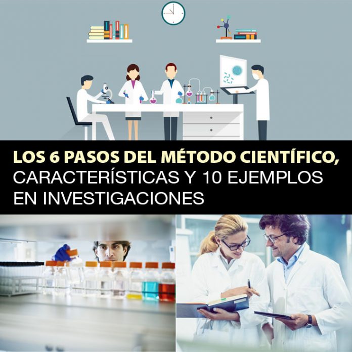 Los 6 Pasos del Método Científico Explicados